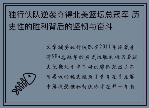 独行侠队逆袭夺得北美篮坛总冠军 历史性的胜利背后的坚韧与奋斗